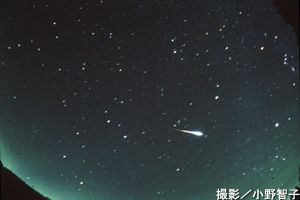 ９８年のしし座流星群